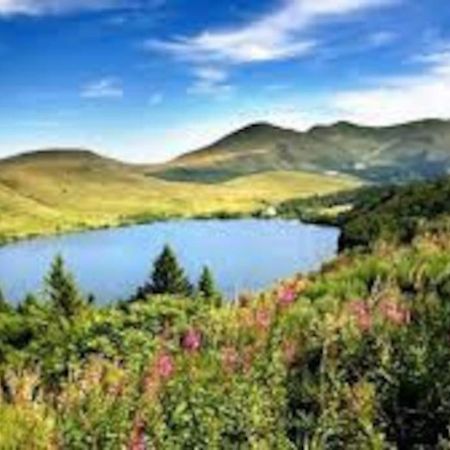 فيلا La Grange De La Gratade Rochefort-Montagne المظهر الخارجي الصورة